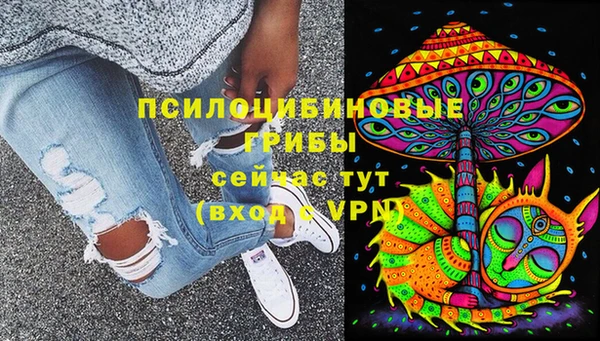 соль курить ск Пересвет
