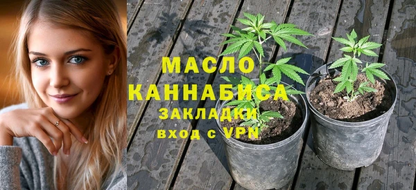 дживик Переславль-Залесский