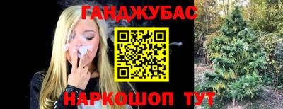 мет Дубна