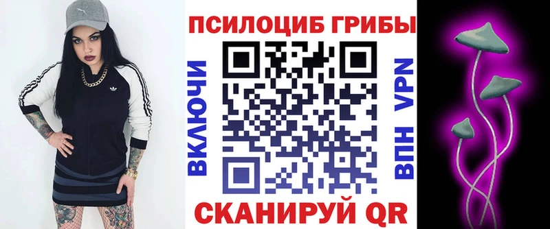 Галлюциногенные грибы Psilocybine cubensis  мега tor  Ипатово  купить закладку 