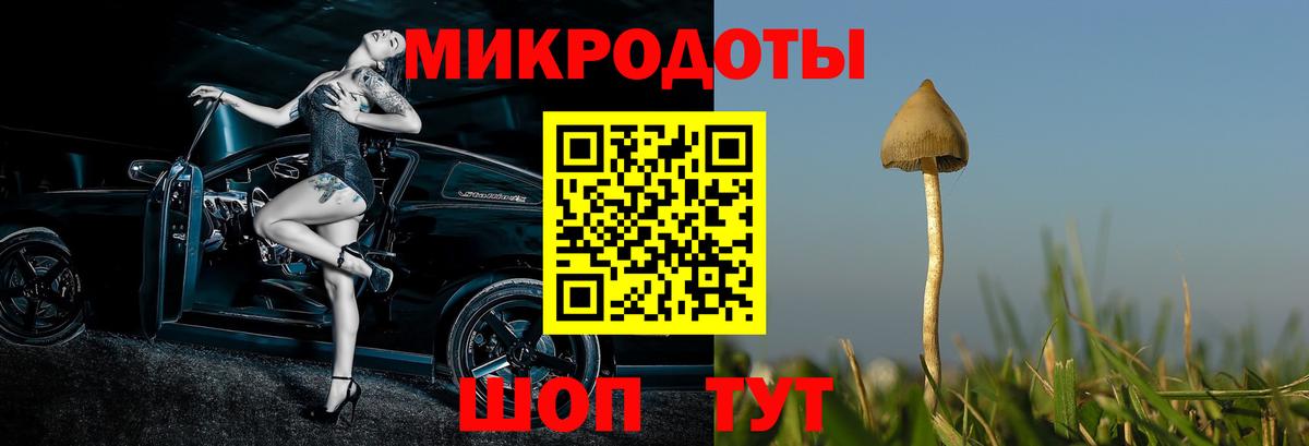 Галлюциногенные грибы Cubensis Ипатово